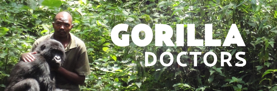 Gorilla Doctors, 52 Media